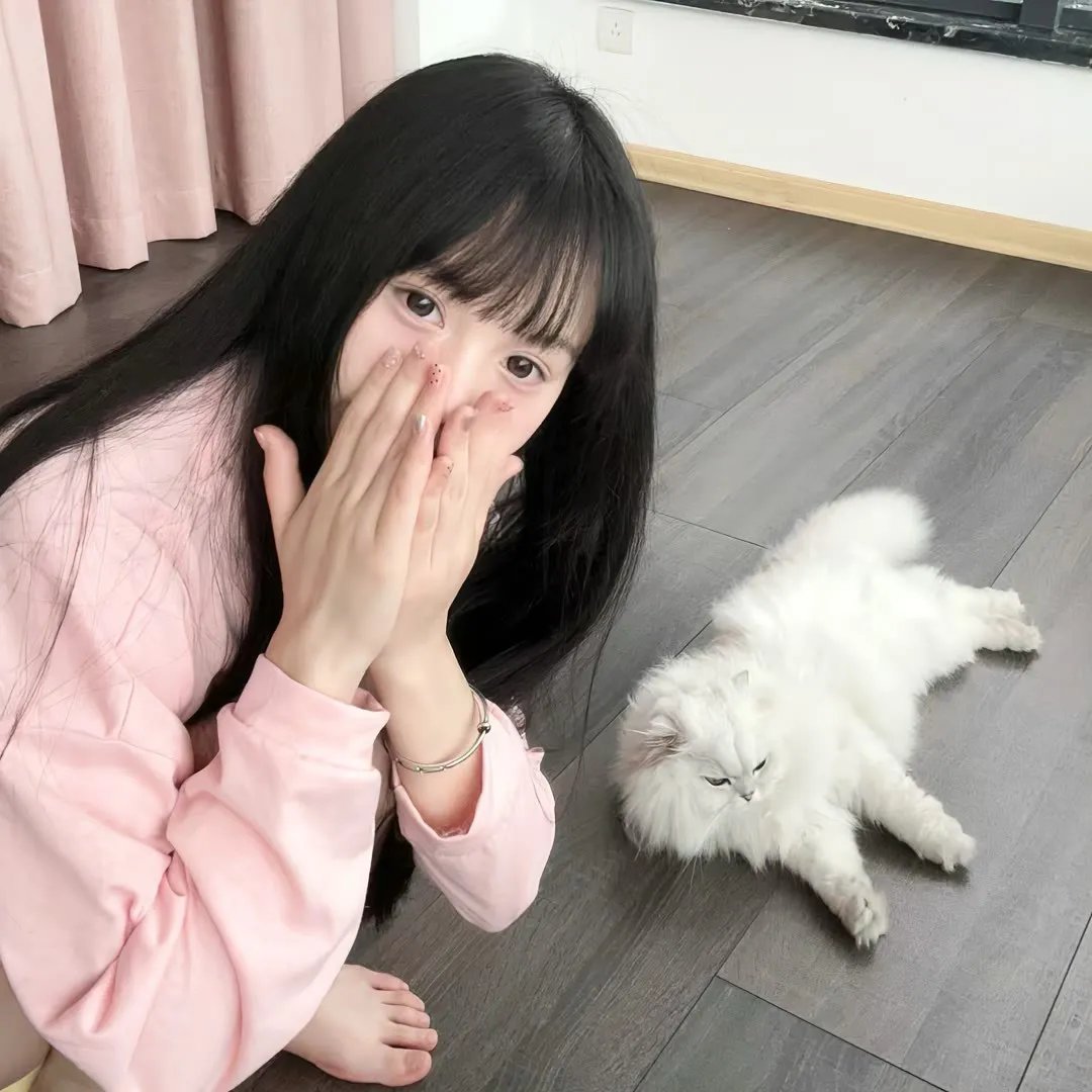风月无边